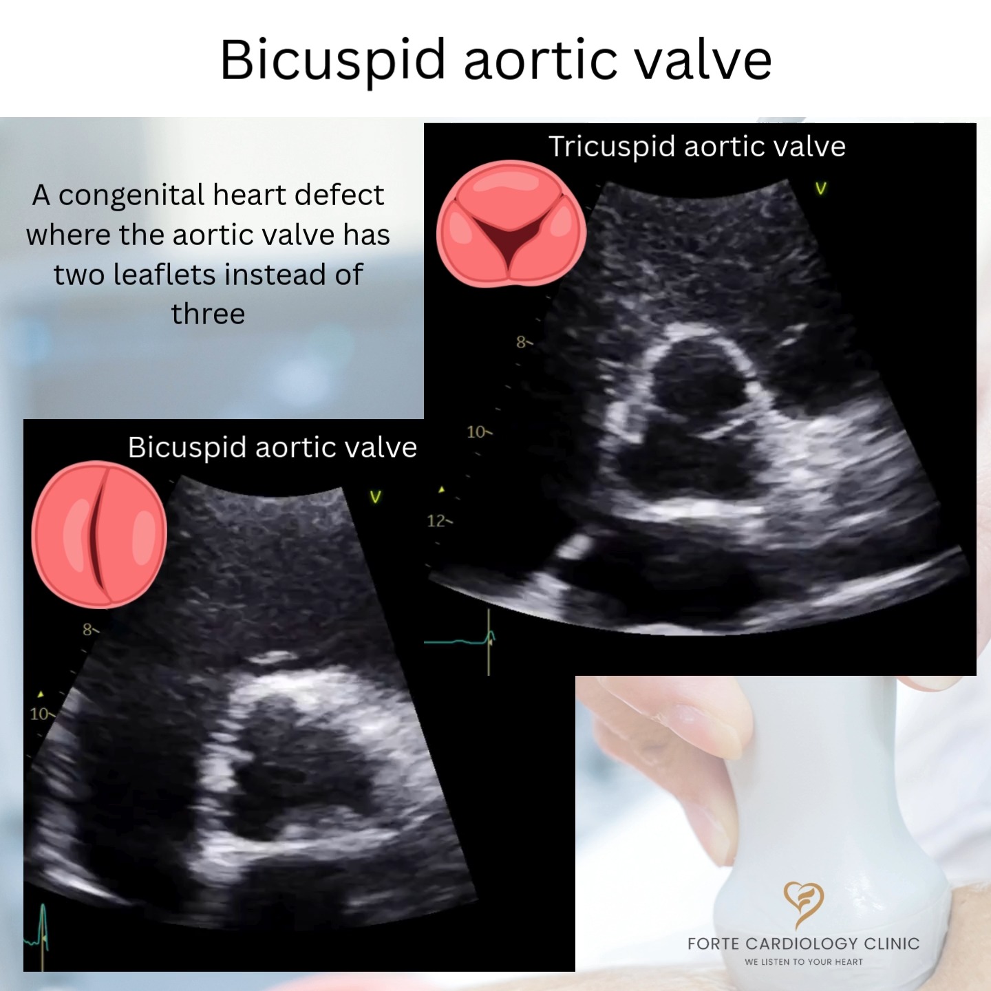 Forte Cardiology Clinic