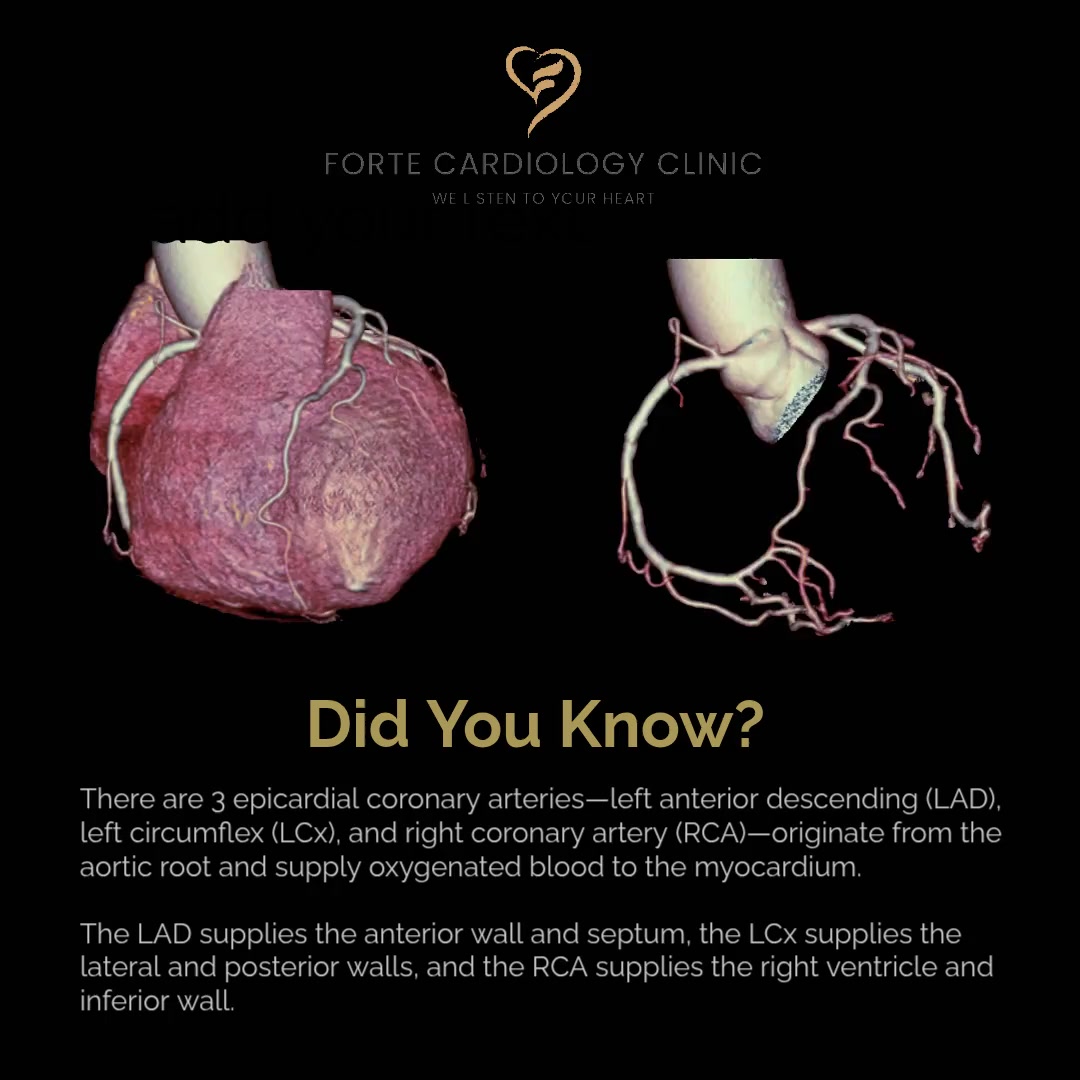 Forte Cardiology Clinic